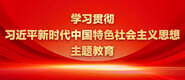 中外男女操逼片子学习贯彻习近平新时代中国特色社会主义思想主题教育_fororder_ad-371X160(2)